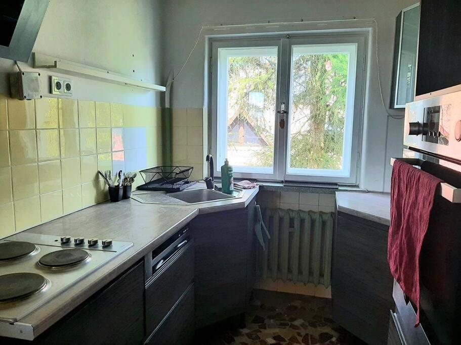 Apartment Family In Lagiewniki *